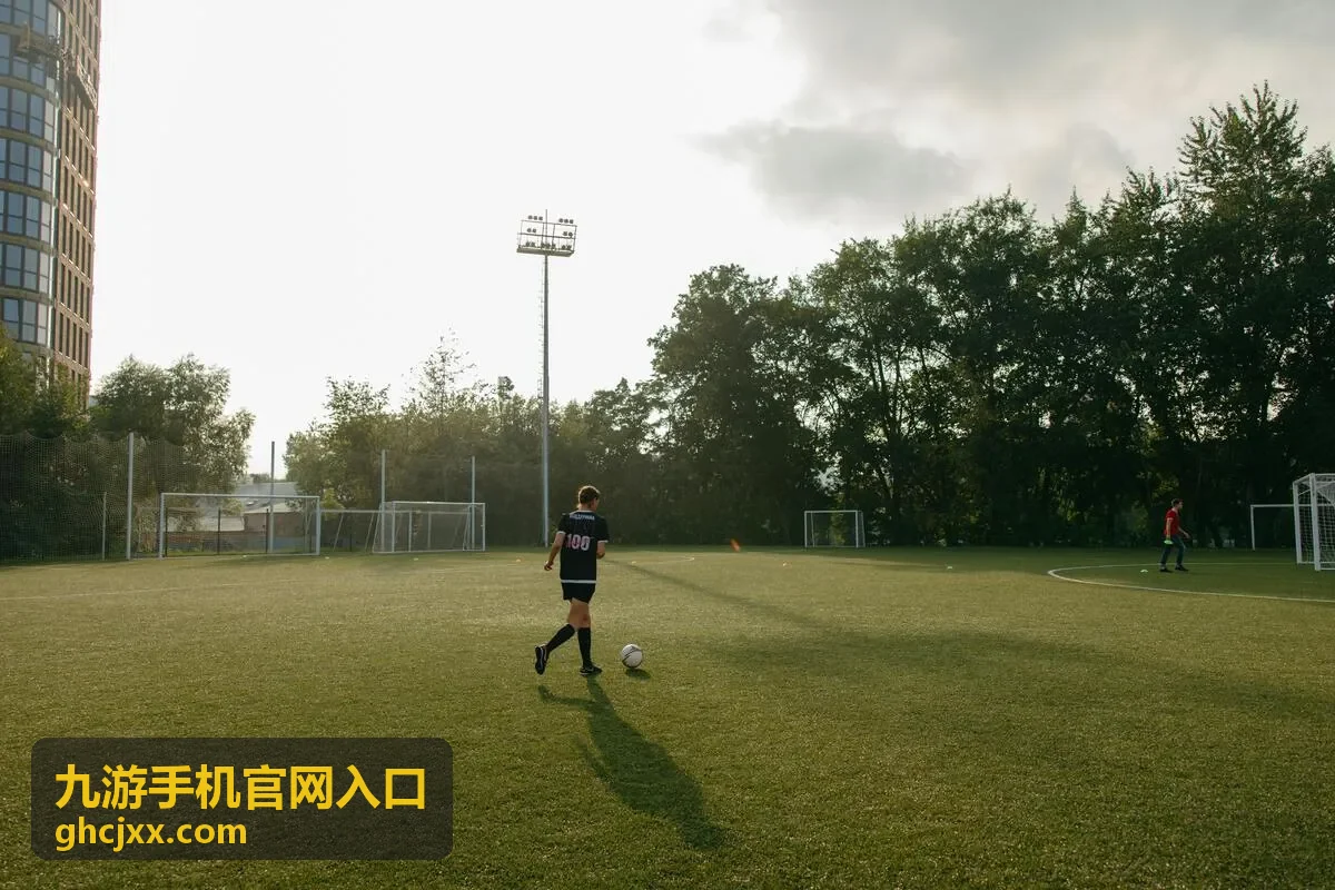 在九游手机官网入口确认账号状态与安全提示的操作步骤