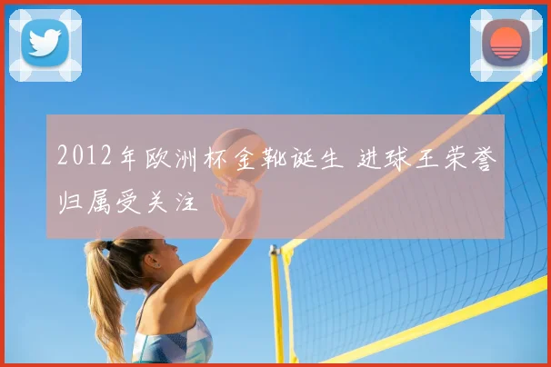 2012年欧洲杯金靴诞生 进球王荣誉归属受关注